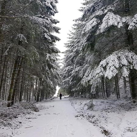 Ferienwohnung Christina Hinterweiler Luaran gambar